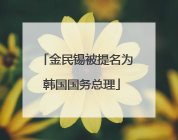 金民锡被提名为韩国国务总理